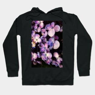 Pink and Purple Hydrangea Hoodie